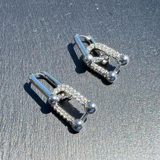 Earrings (For Both Ears) U