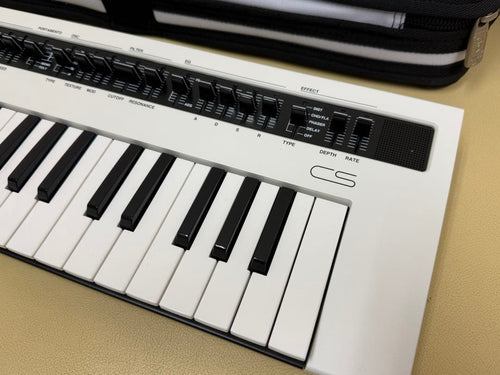 Yamaha Others Reface Cs