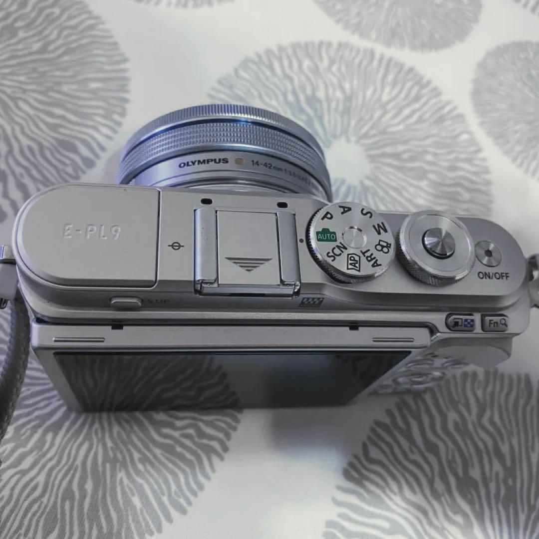 Olympus Mirrorless Interchangeable Lips Pen E-Pl9