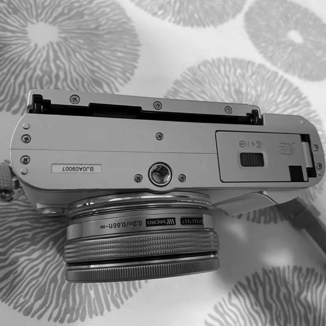Olympus Mirrorless Interchangeable Lips Pen E-Pl9