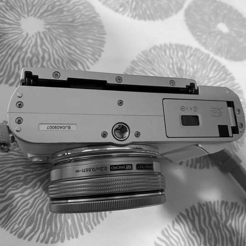 Olympus Mirrorless Interchangeable Lips Pen E-Pl9