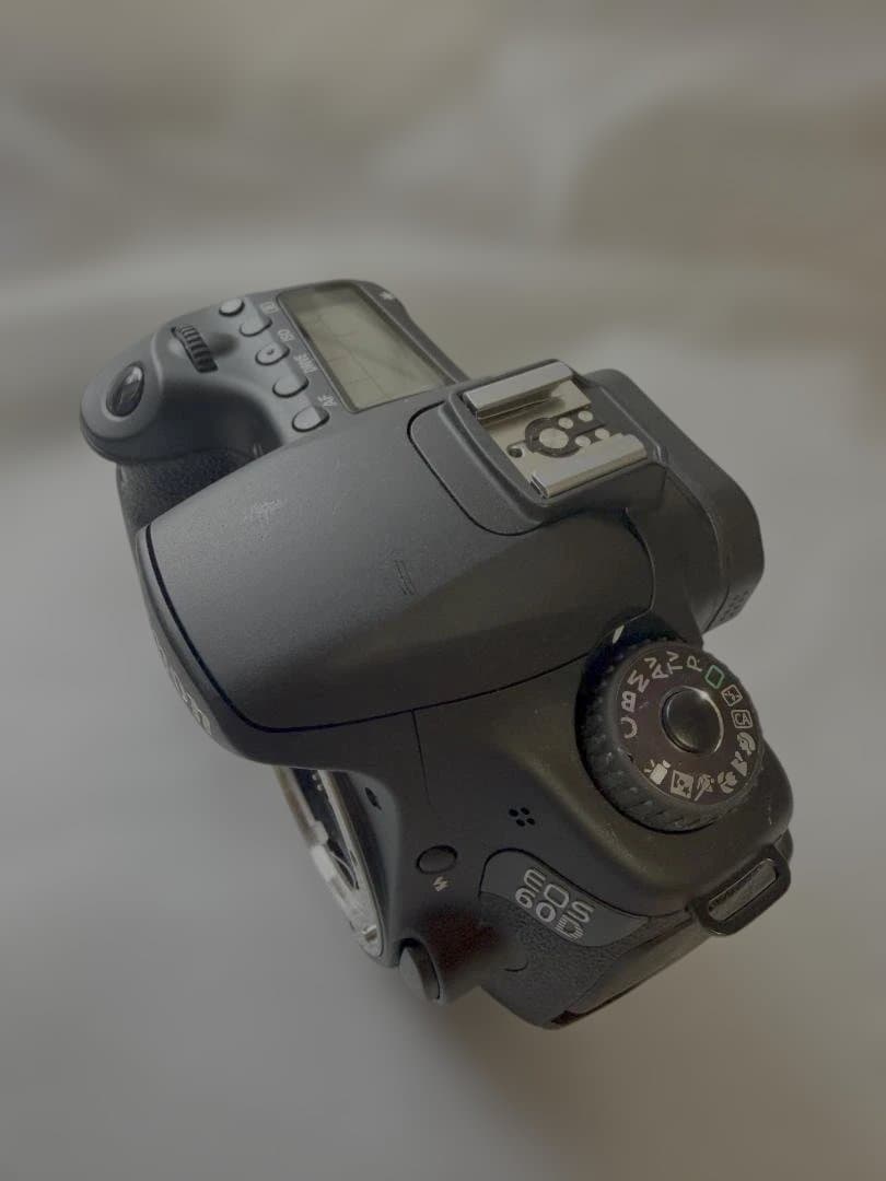 Canon Digital Slrs Eos 60D