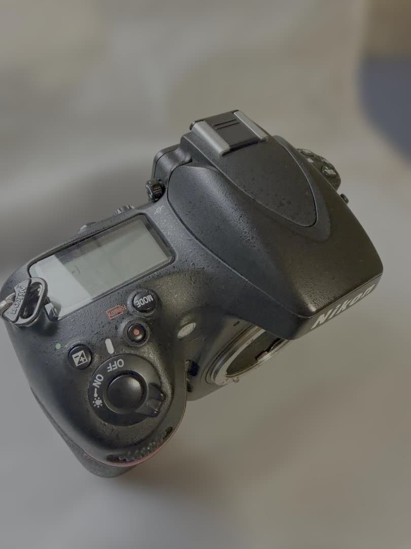 Nikon Digital Slrs D800