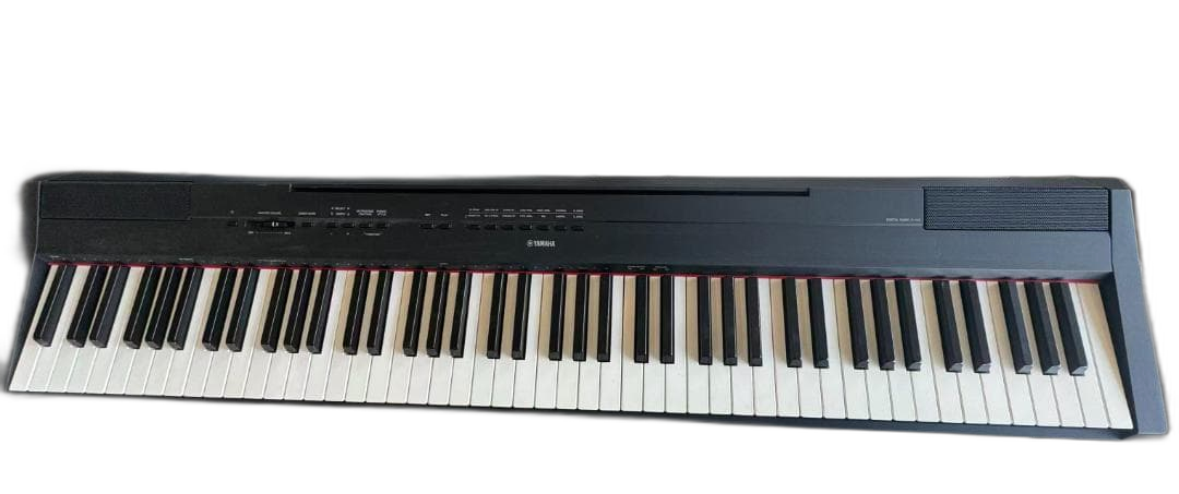 Yamaha Other P-115B