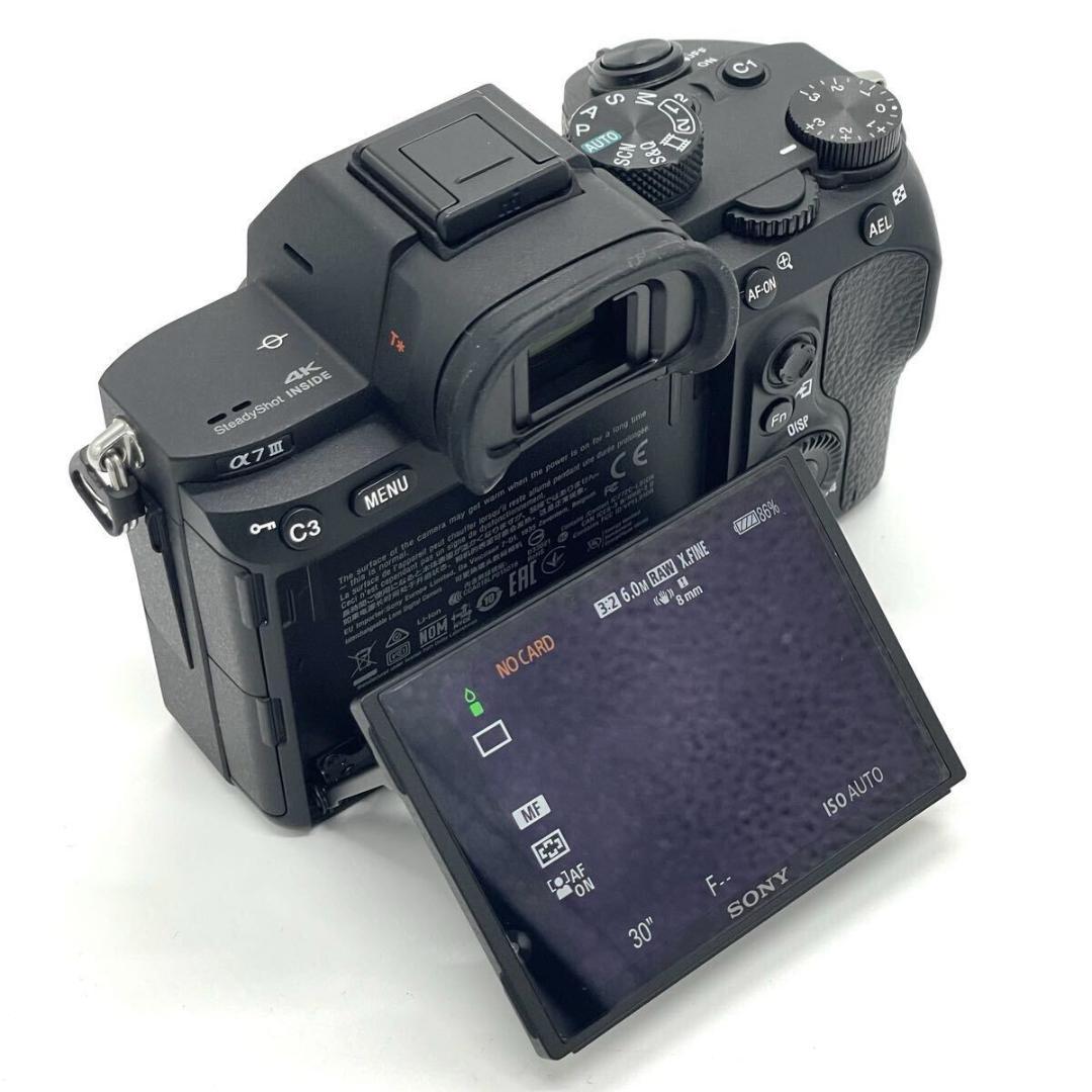 Sony Digital Slrs 7 Iii Ilce-7M3
