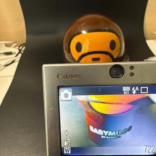 Canon Digital Slr Ixy 10