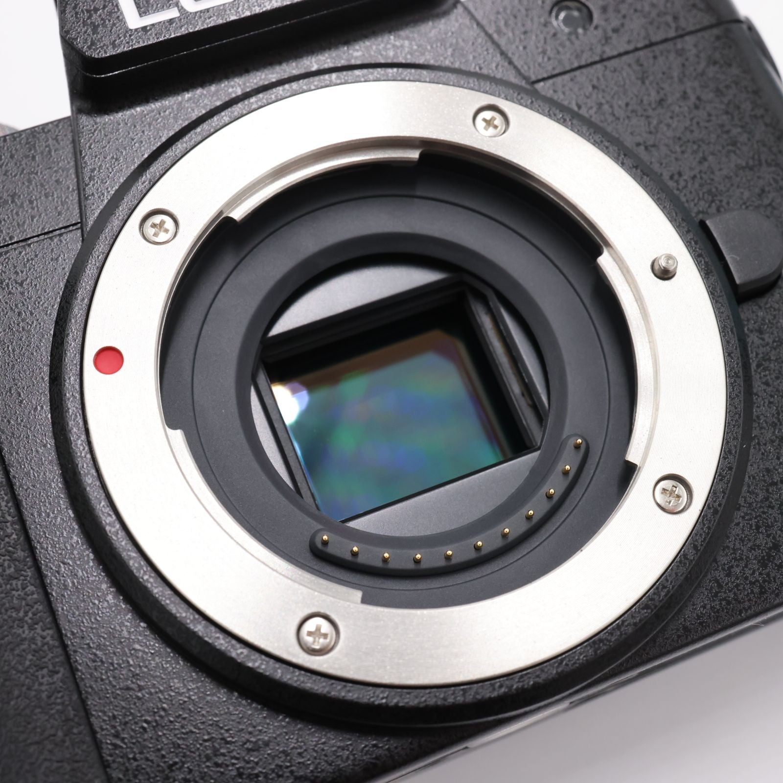 Panasonic Mirrorless Interchangeable Lips Lumix G100D Dc-G100D Ver.1.3