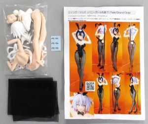 Game Character Fate/Grand Order 10