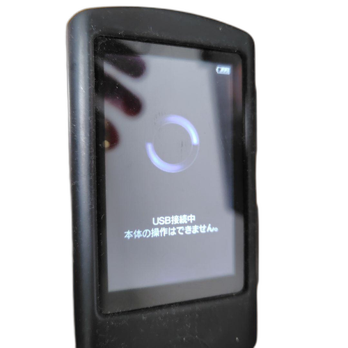 Sony Digital Audio Player Nw-A866 32Gb Walkman