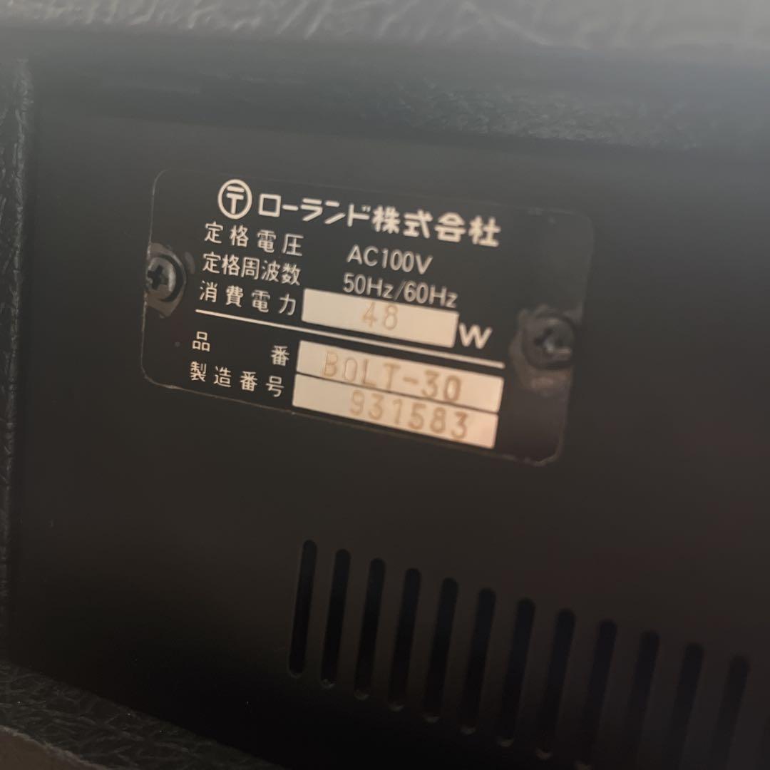 Roland Guitar Amplifiers Bolt-30