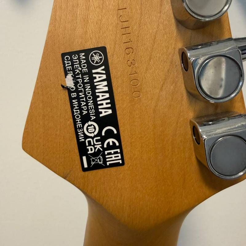 Acoustic Guitar Beginner Set Yamaha Pac112V