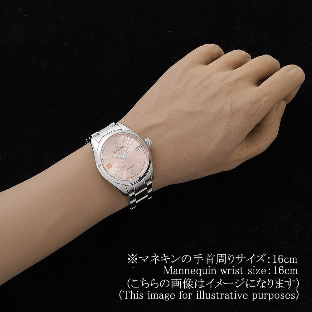 Grand Seiko Others Ajhh 500 Sbga371