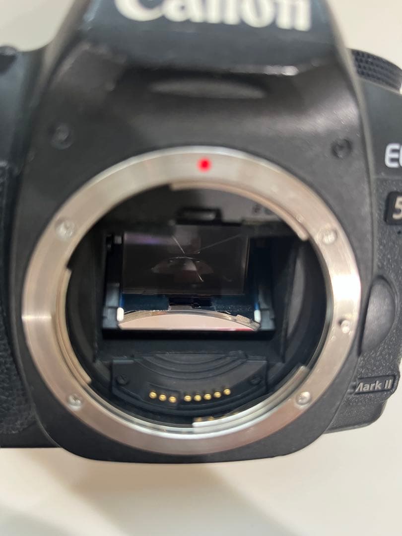 Canon Digital Slrs Eos 5D Mark Ii