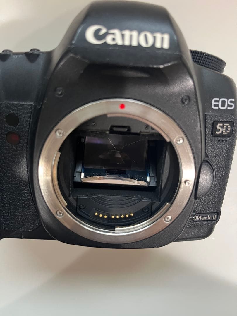 Canon Digital Slrs Eos 5D Mark Ii