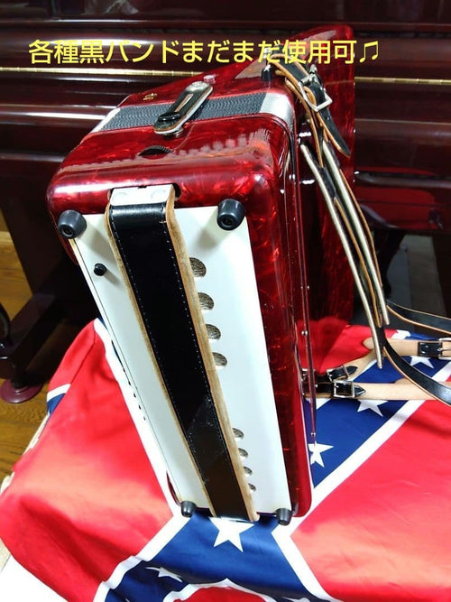 Yamaha Accordions Ya-21