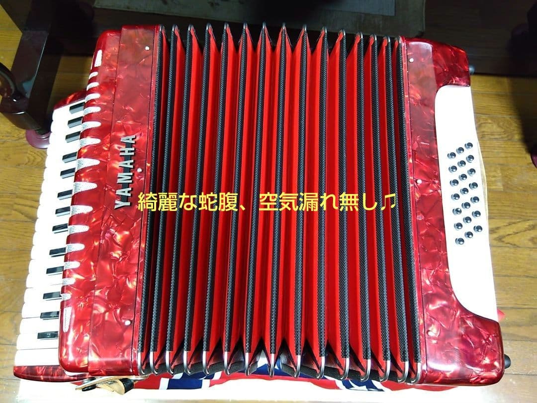 Yamaha Accordions Ya-21