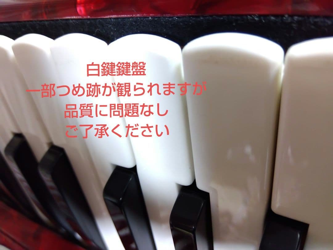Yamaha Accordions Ya-21