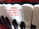 Yamaha Accordions Ya-21