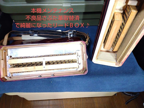 Yamaha Accordions Ya-21