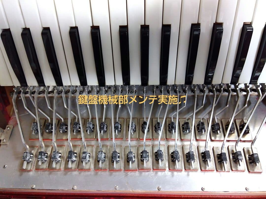 Yamaha Accordions Ya-21