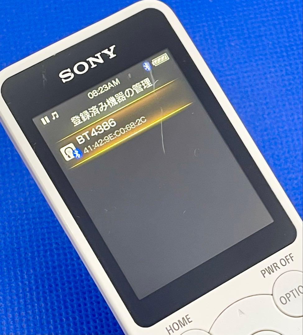 Sony Digital Audio Players Walkman Nw-S784 8Gb