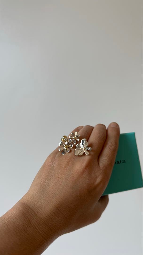 Tiffany Rings K18 9