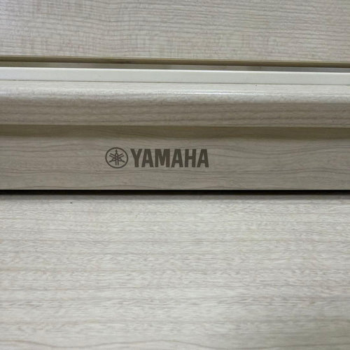 Yamaha Keyboards Digital Pianos Arius Ydp-163
