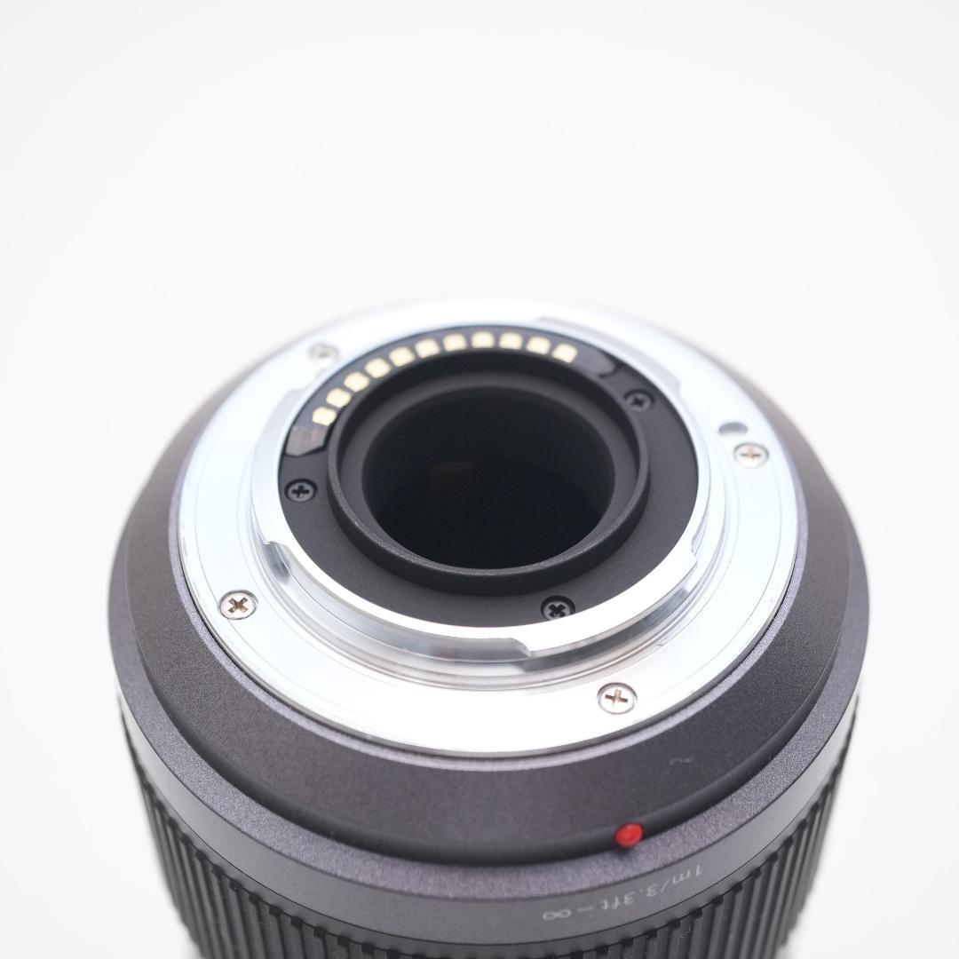 Panasonic Zoom Lenses Lumix G Vario 45-200Mm F4.0-5.6