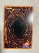 Yu-Gi-Oh! Ocg Duel Monsters (Japanese) 25Th 3