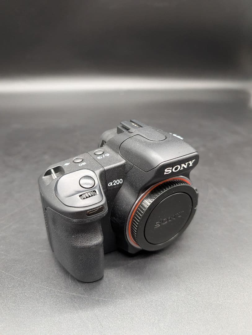 Digital Slr Sony 300