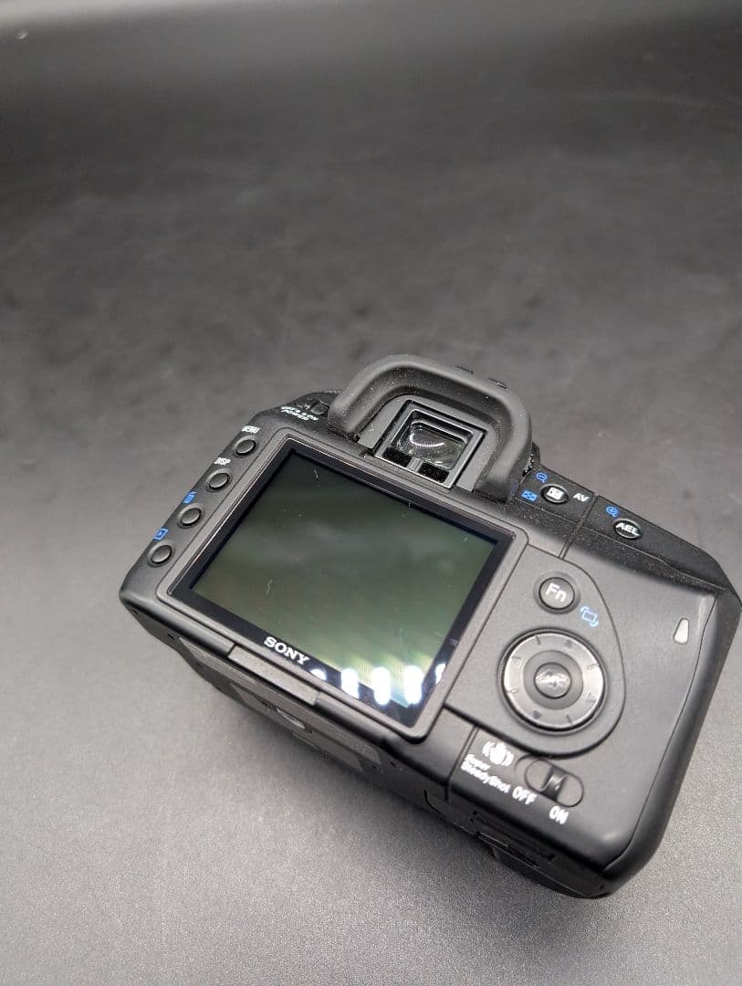 Digital Slr Sony 300