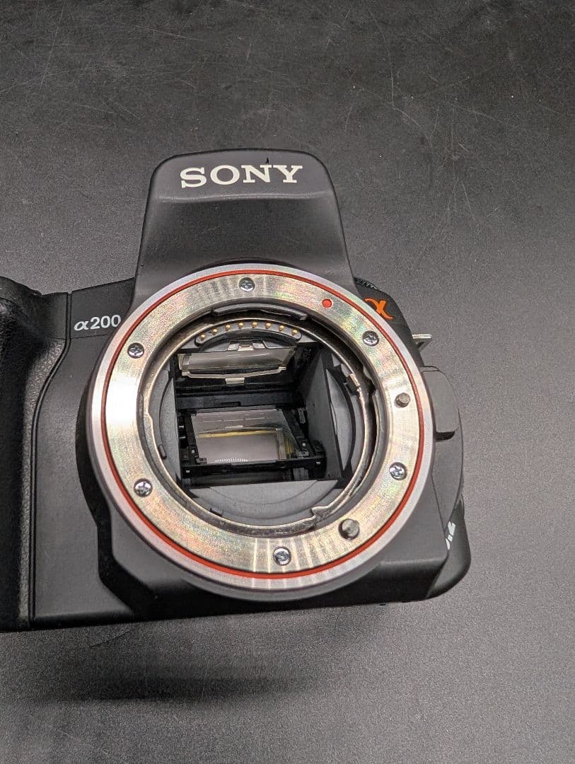 Digital Slr Sony 300