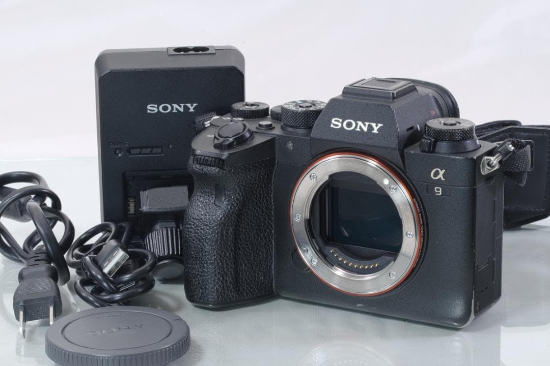 Sony Mirrorless Interchangeable Lips 9Ii #2088