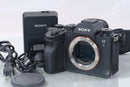 Sony Mirrorless Interchangeable Lips 9Ii #2088