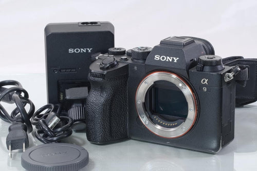 Sony Mirrorless Interchangeable Lips 9Ii #2088