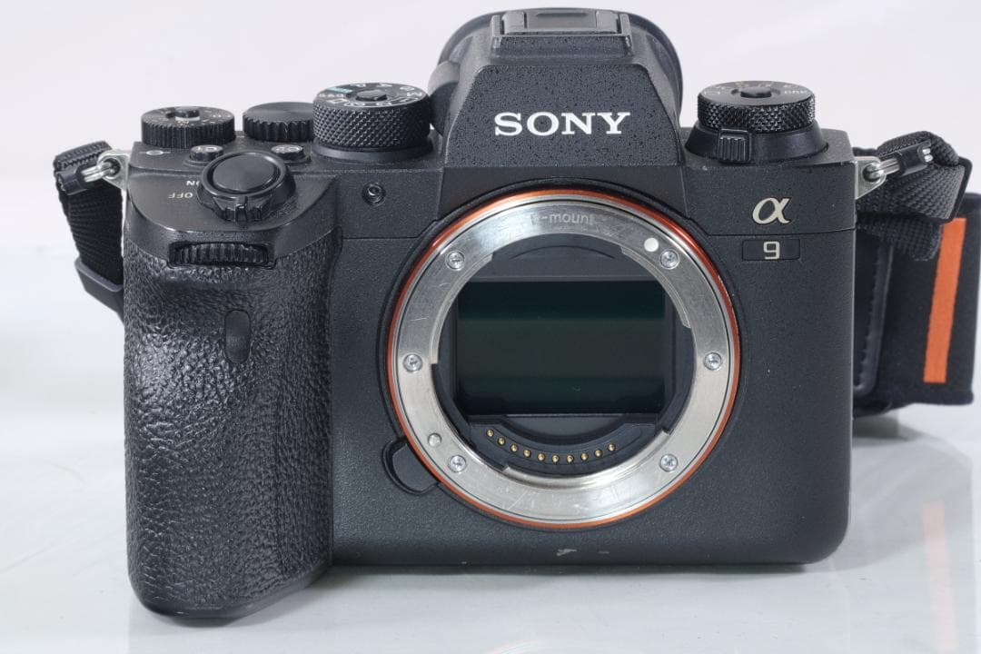 Sony Mirrorless Interchangeable Lips 9Ii #2088