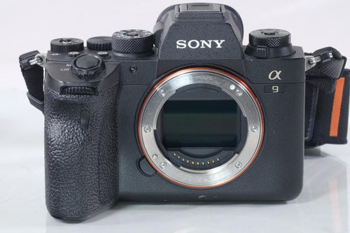 Sony Mirrorless Interchangeable Lips 9Ii #2088