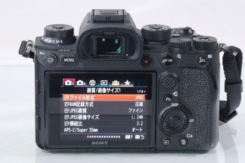 Sony Mirrorless Interchangeable Lips 9Ii #2088