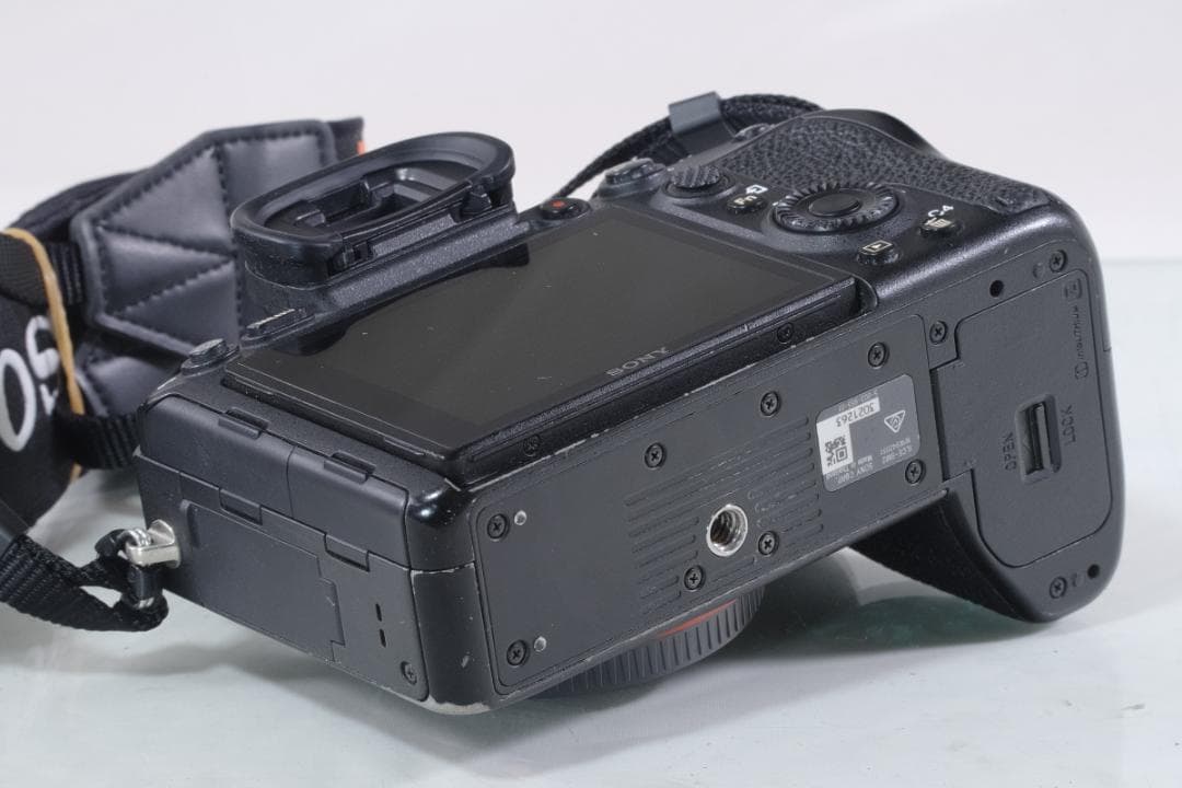 Sony Mirrorless Interchangeable Lips 9Ii #2088