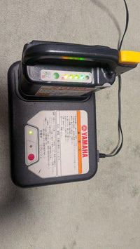 Yamaha Rechargeable Batteries Chargers