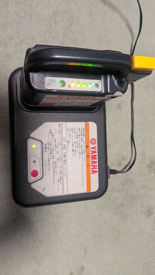 Yamaha Rechargeable Batteries Chargers
