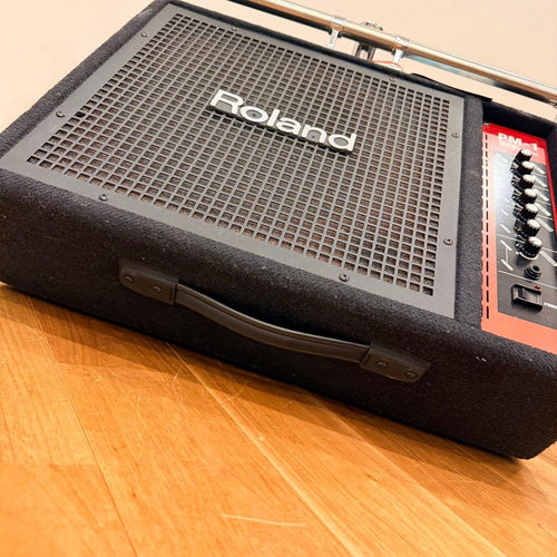 Roland Stage Monitor Speakers Pm-1 Usa Assembly