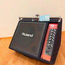 Roland Stage Monitor Speakers Pm-1 Usa Assembly