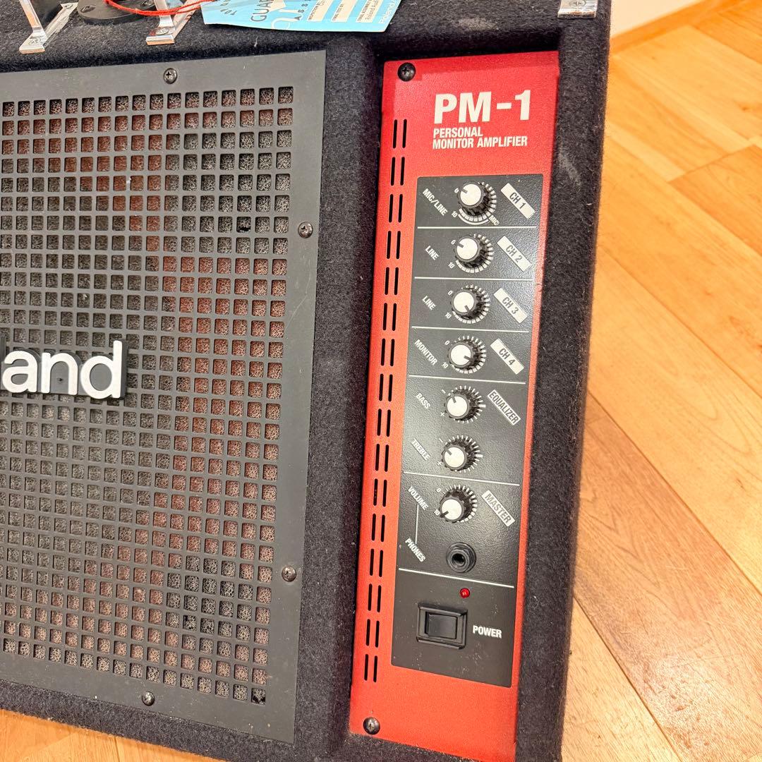 Roland Stage Monitor Speakers Pm-1 Usa Assembly