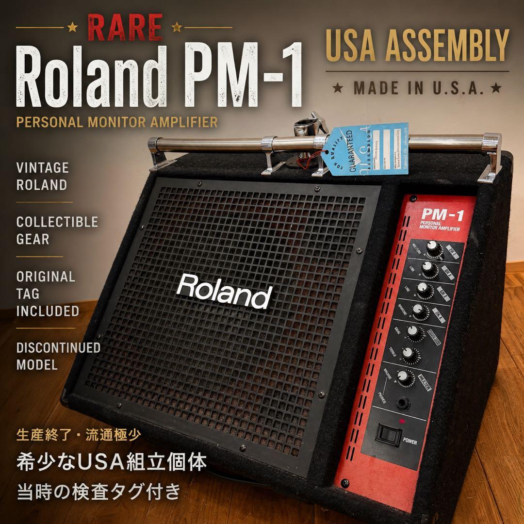 Roland Stage Monitor Speakers Pm-1 Usa Assembly
