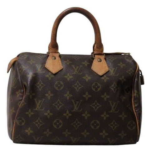 Louis Vuitton Handbags 30