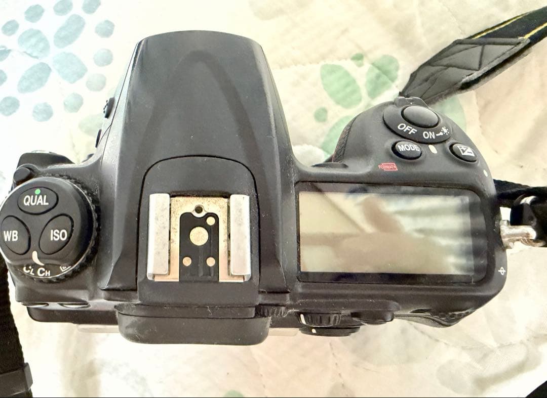Nikon Digital Slrs D300 Ac