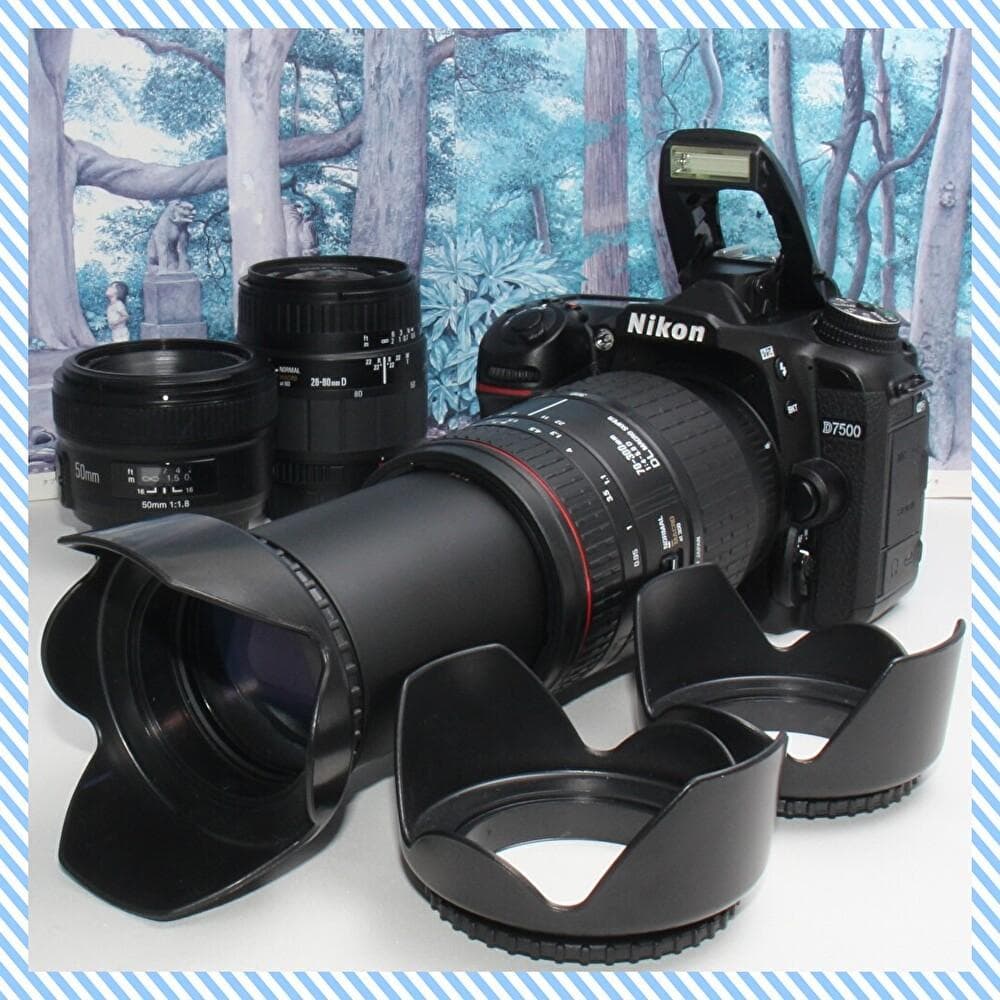 Nikon Digital Slr D7500