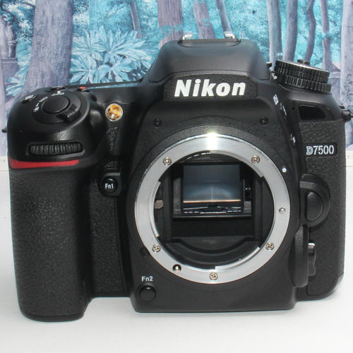 Nikon Digital Slr D7500