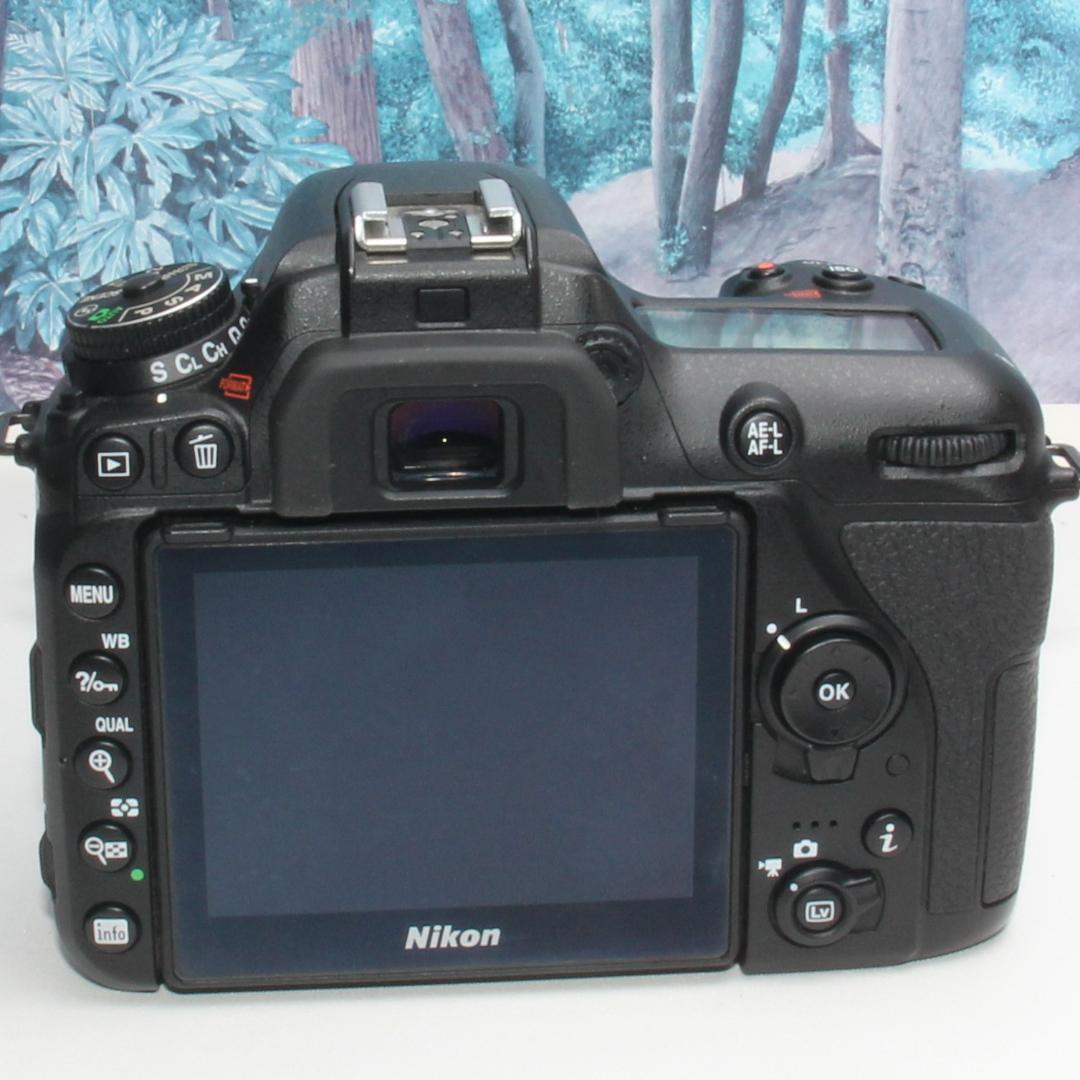 Nikon Digital Slr D7500